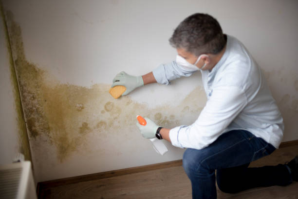 Forensic Mold Investigation in Bladenboro, NC