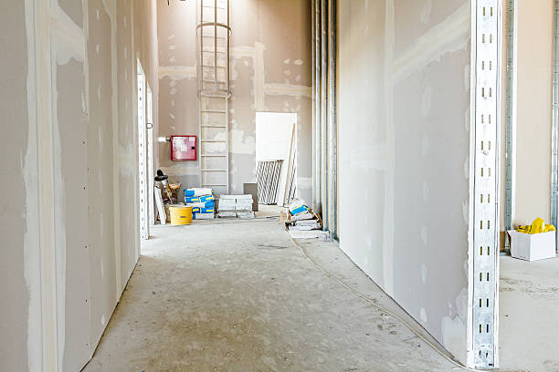 Best Mold Damage Restoration  in Bladenboro, NC